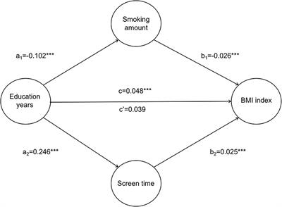 Lifestyle choices mediate the association between educational attainment and BMI in older adults in China: A cross-sectional study